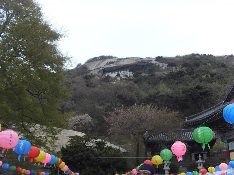 SDC17704.JPG