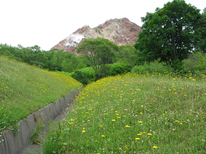 IMG_7343.JPG