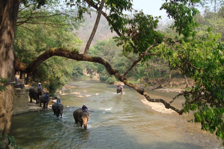 Thailandreise 690.JPG