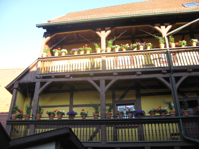 IMG_5704.JPG
