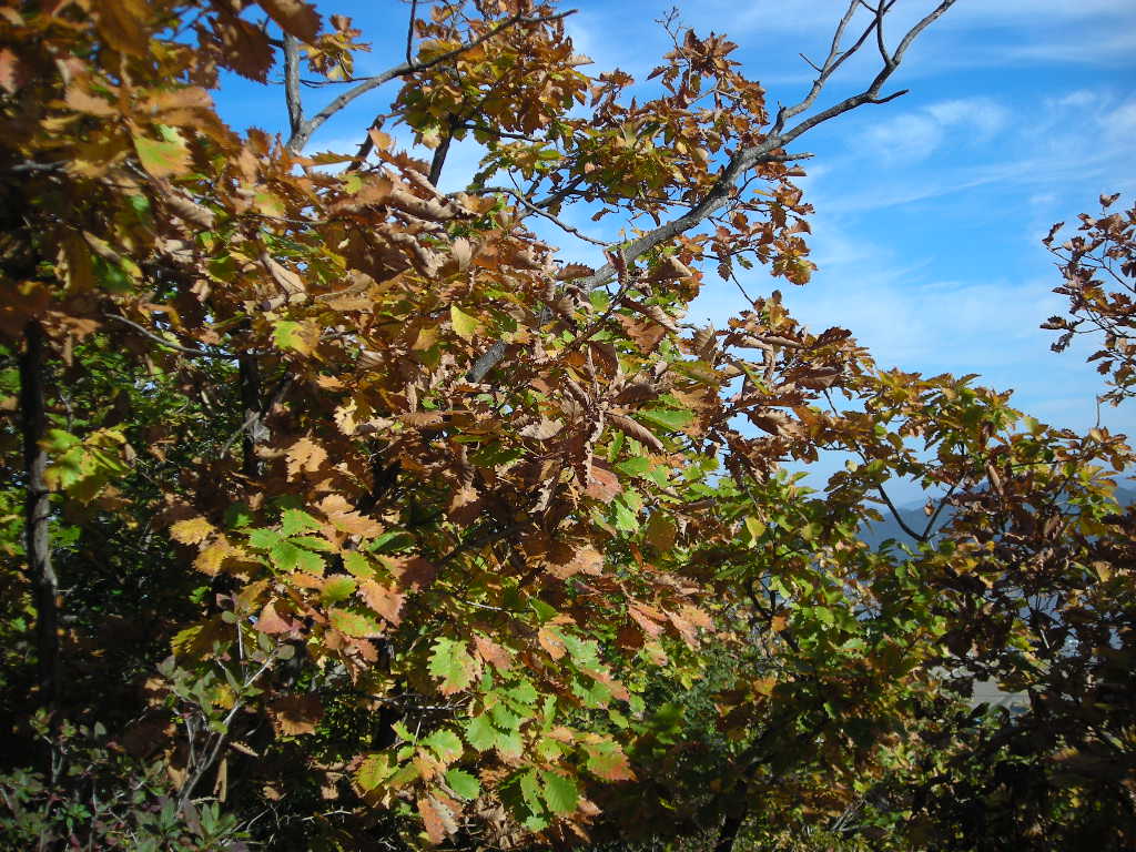 DSCN1112.JPG