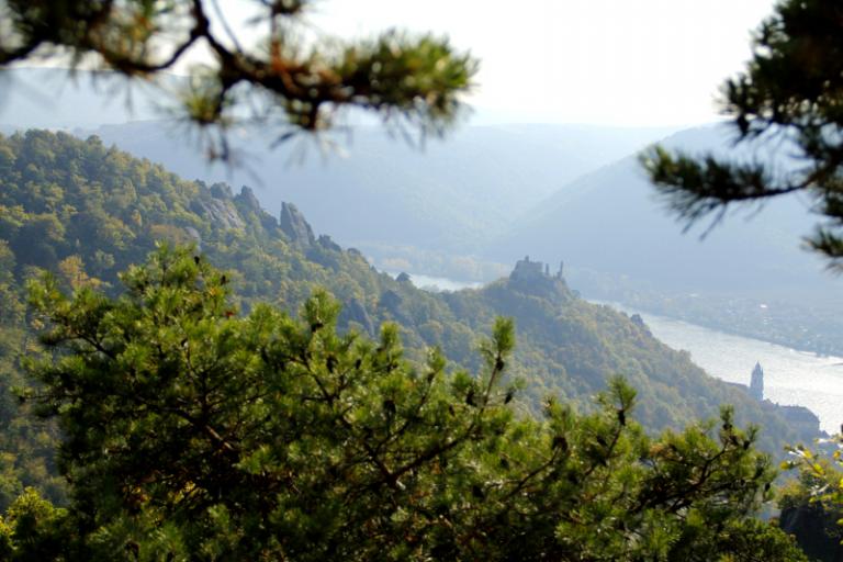 Druernstein 11.JPG