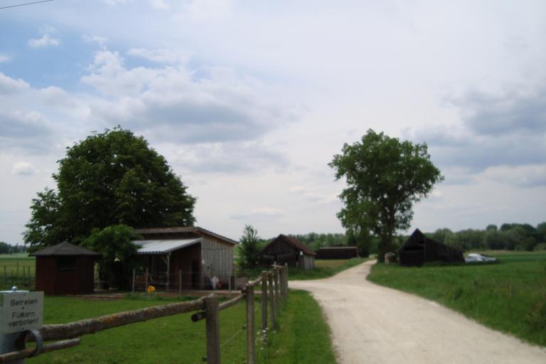 Wattenweiler 27 Mai 2012 009.JPG