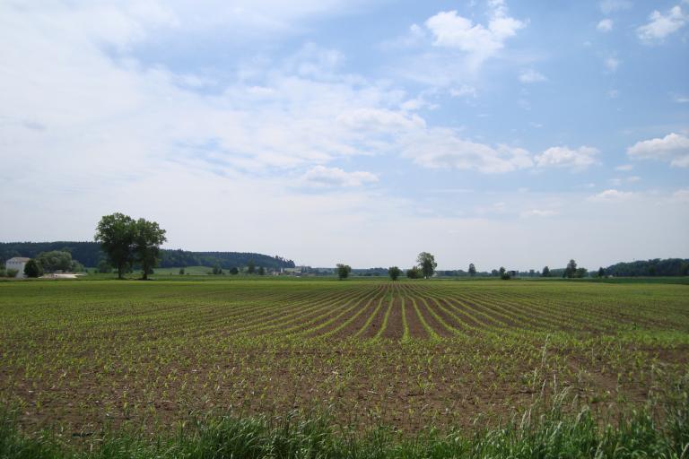 Wattenweiler 27 Mai 2012 014.JPG
