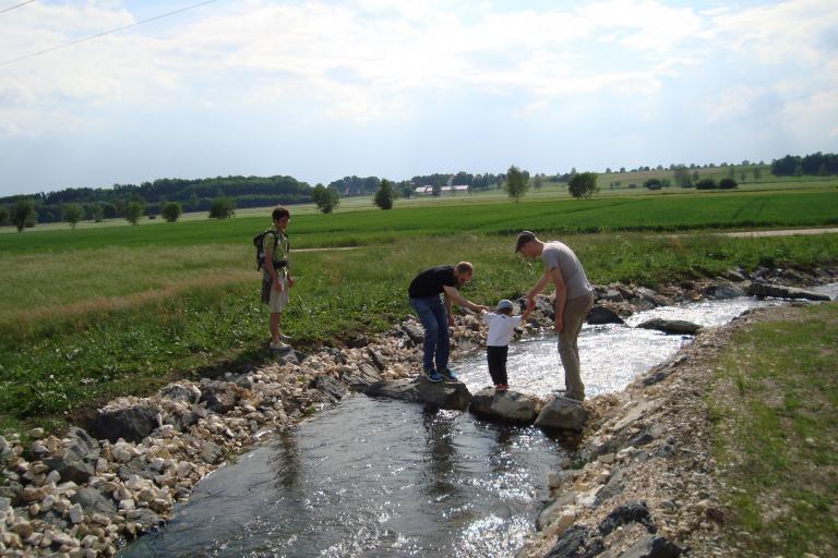 Wattenweiler 27 Mai 2012 106.JPG