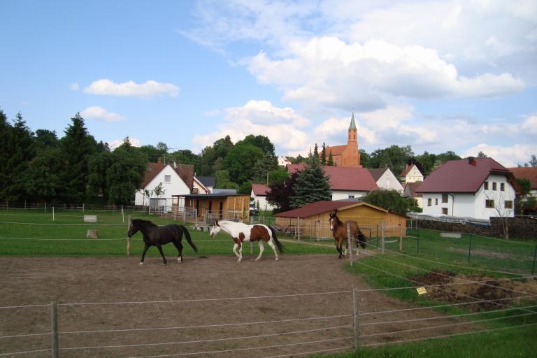 Wattenweiler 27 Mai 2012 117-001.JPG