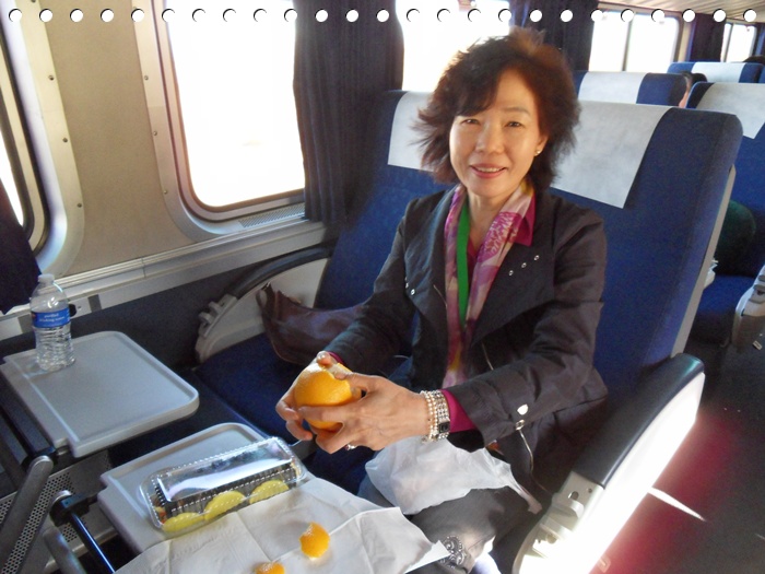 SDC14449.JPG