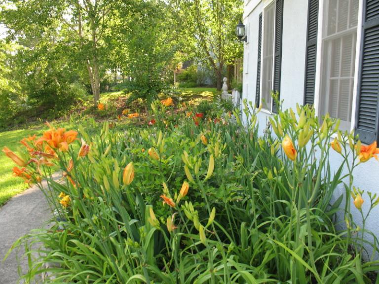 IMG_0533_1.JPG