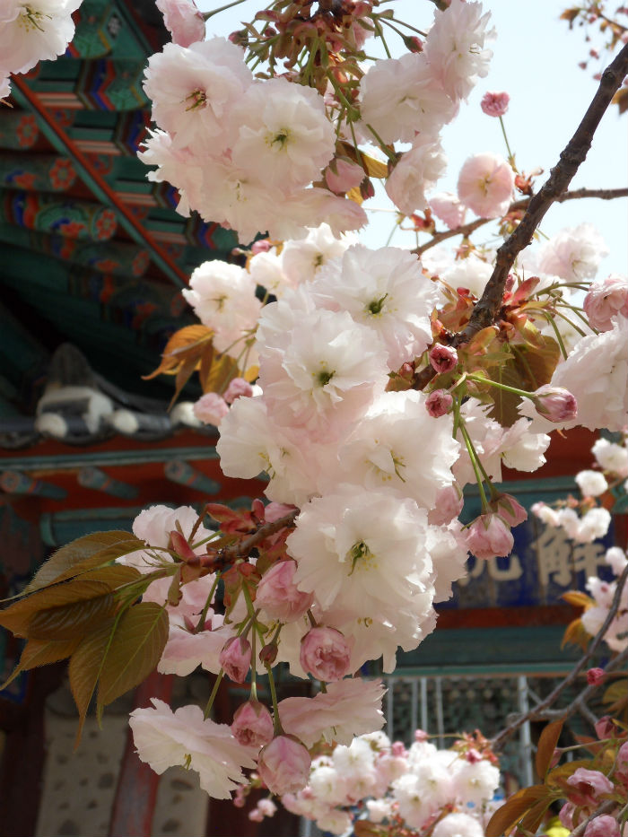 사본 - SDC15200_copy.jpg