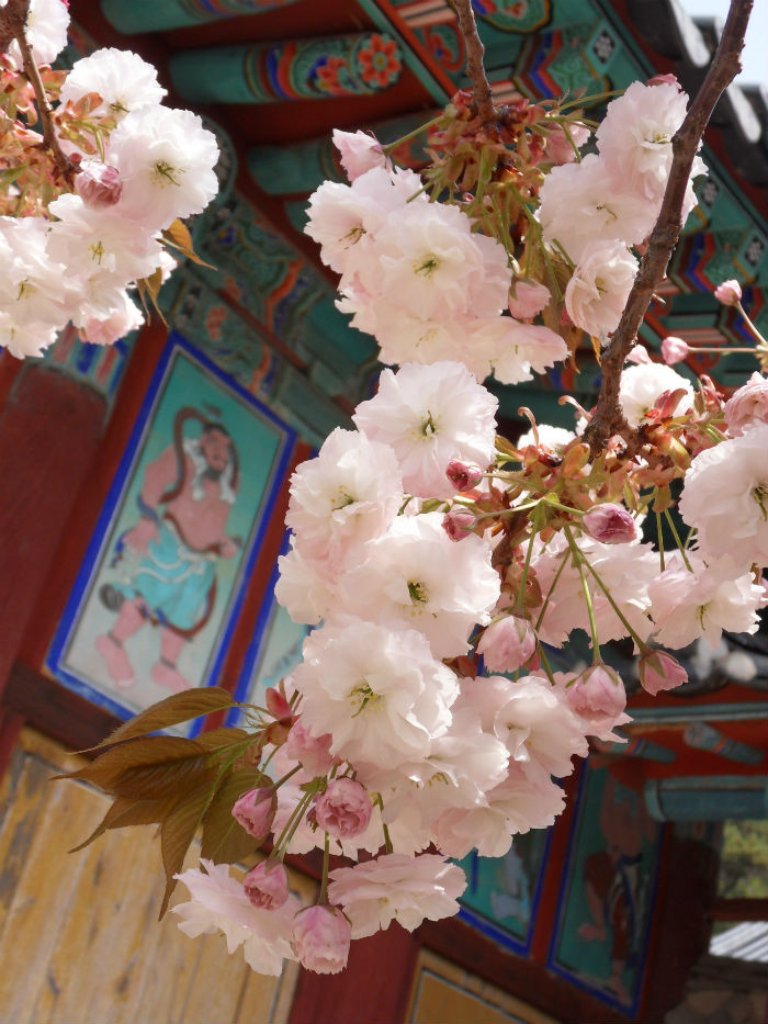 사본 - SDC15201_copy.jpg