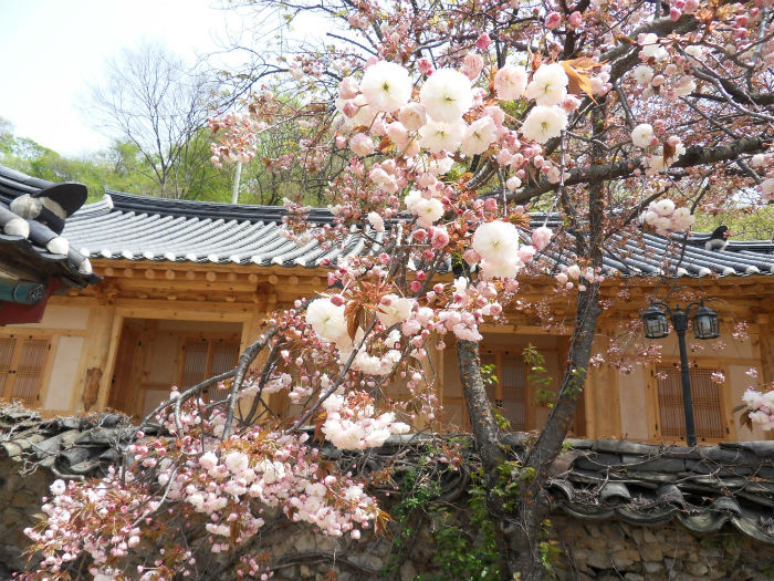 사본 - SDC15217_copy.jpg