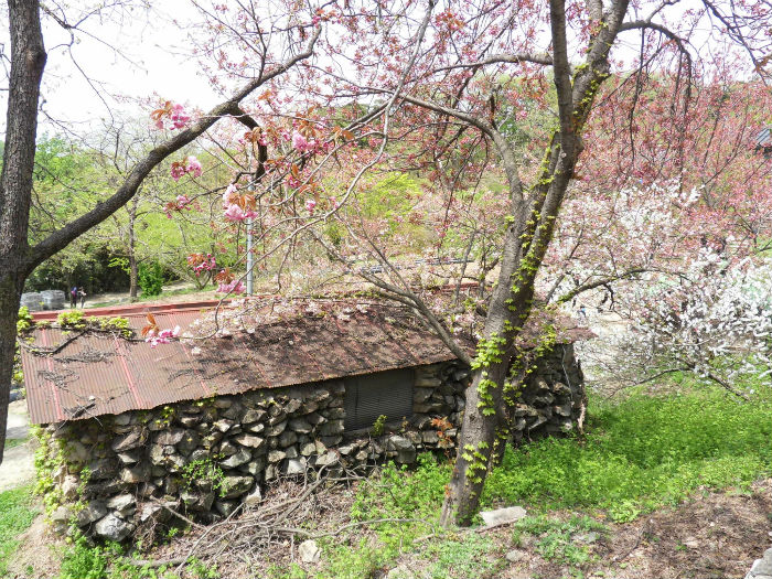 SDC15224_copy.jpg
