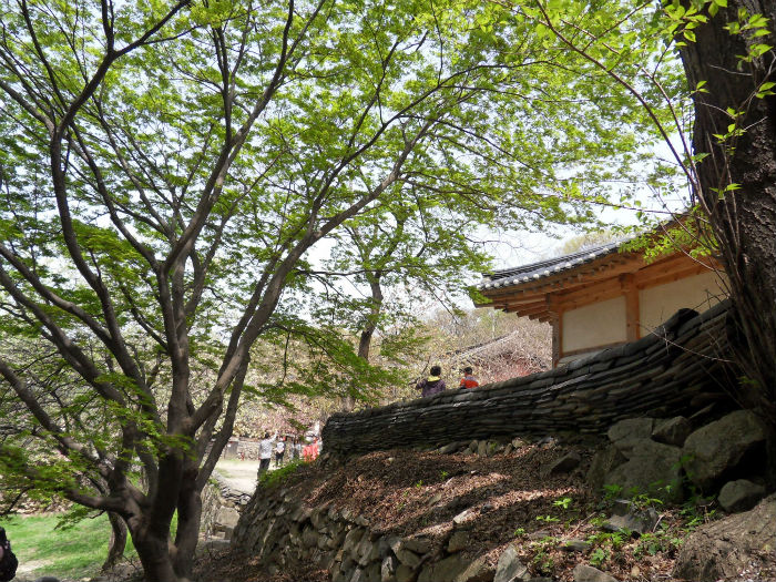 SDC15235_copy.jpg