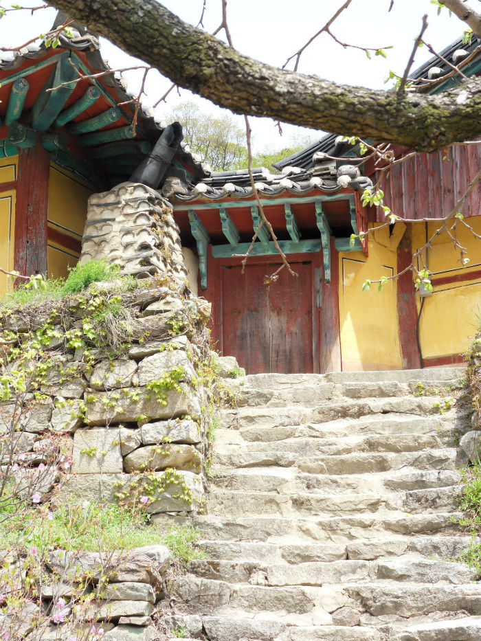 SDC15271_copy.jpg