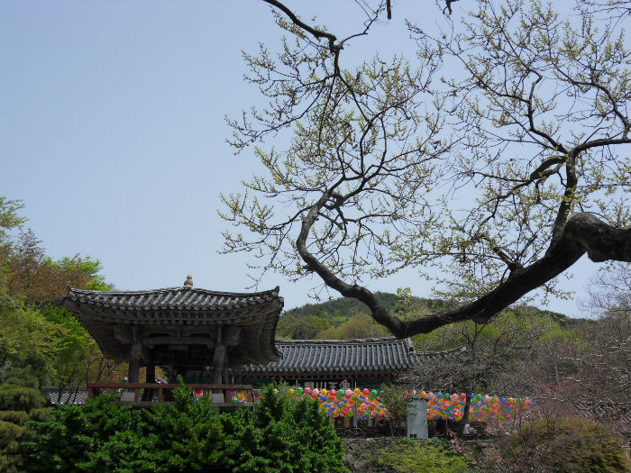 SDC15288_copy.jpg