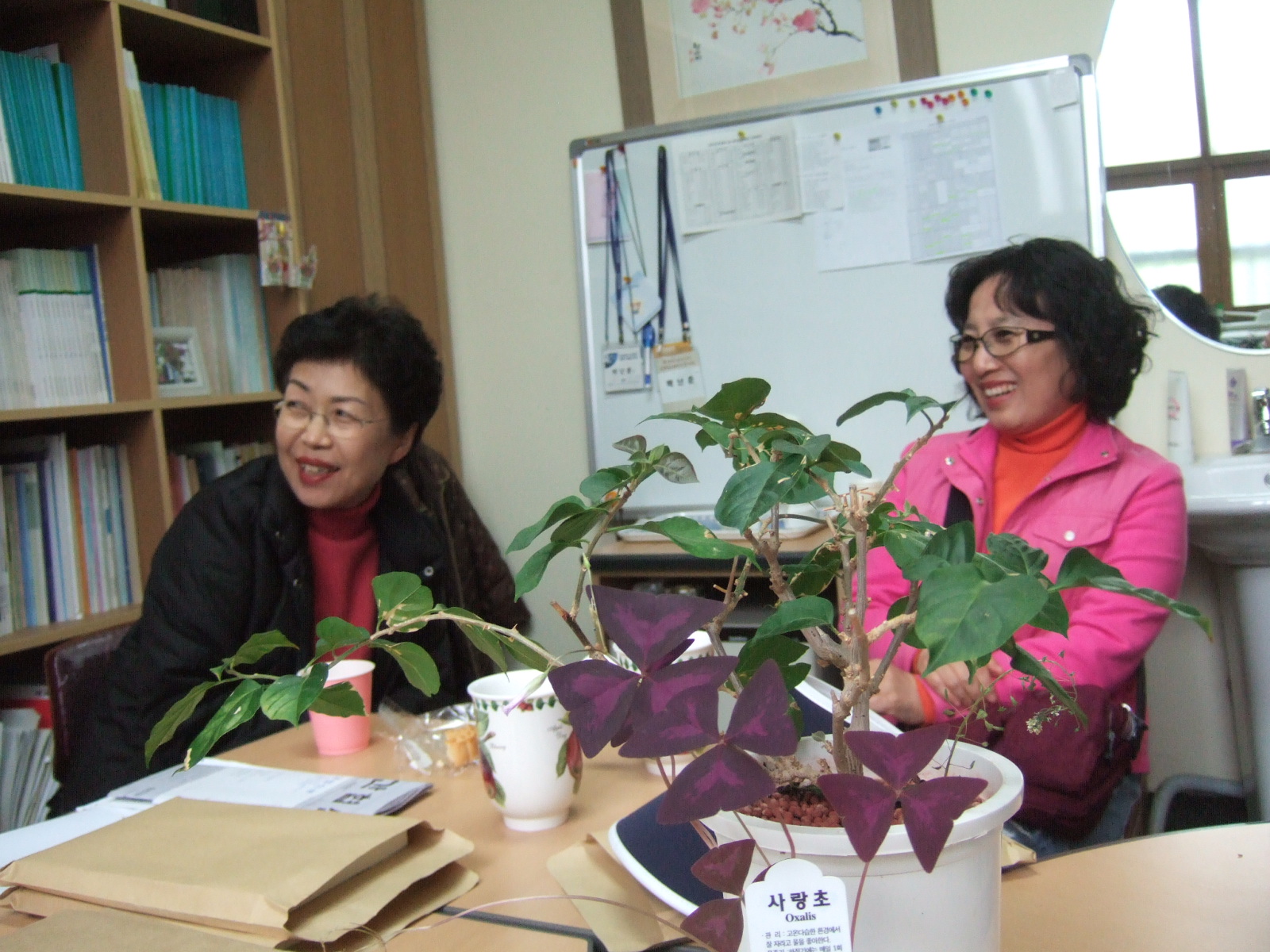 DSCF1828.JPG