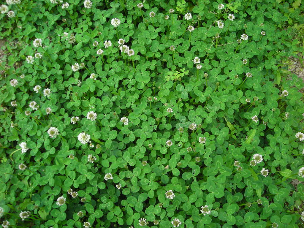 DSCN0721.JPG