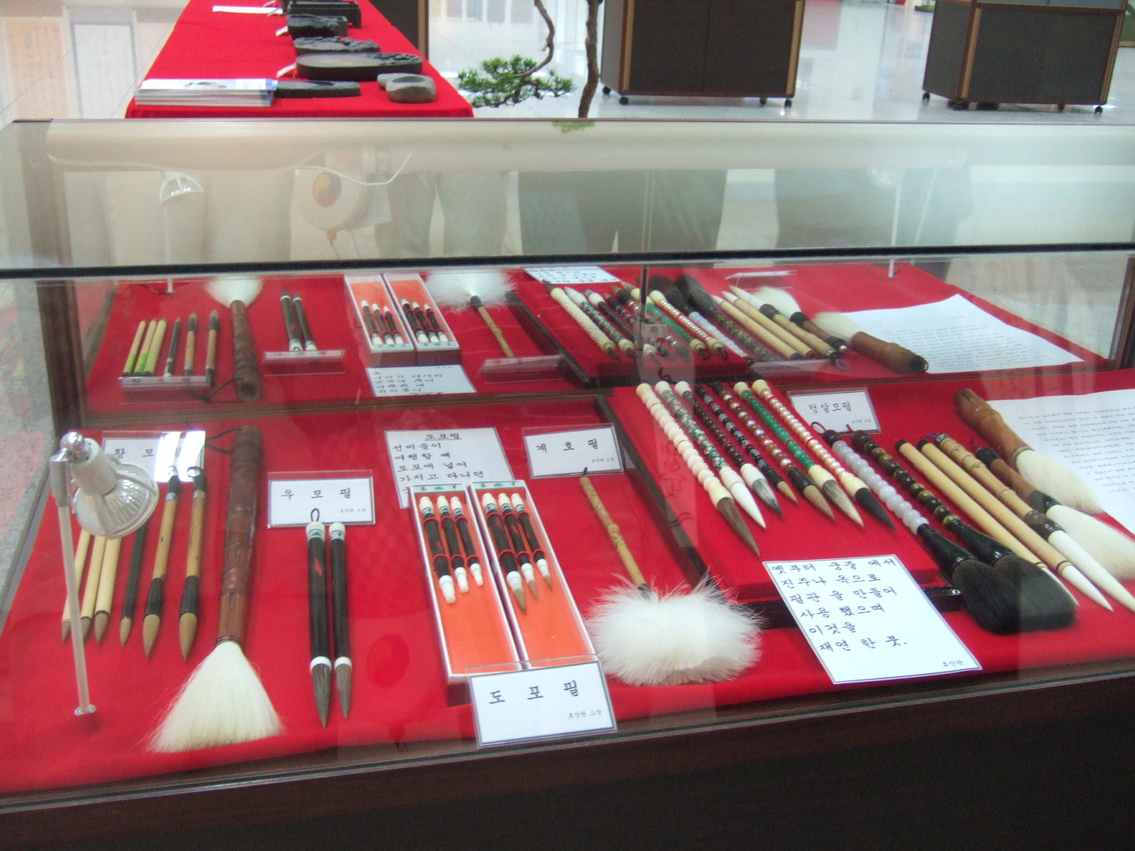 DSCF4585.JPG