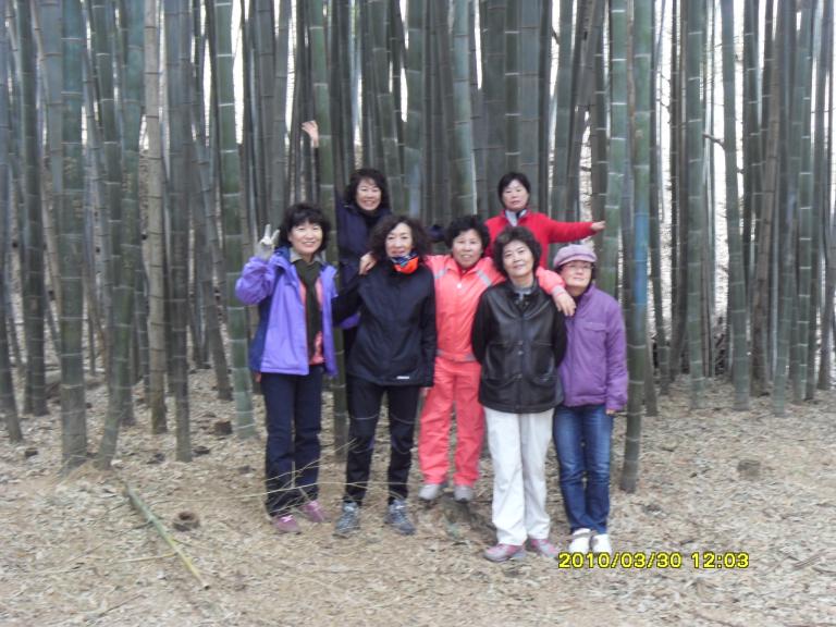SDC10928.JPG