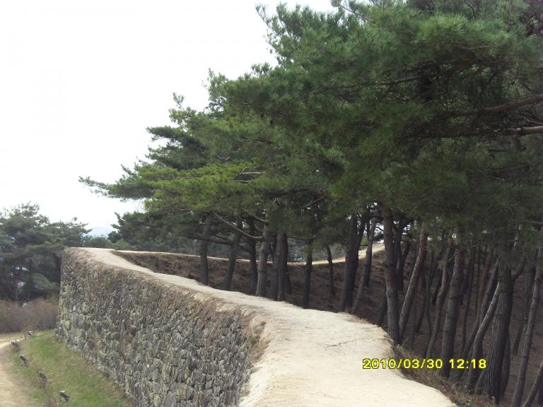 SDC10947.JPG