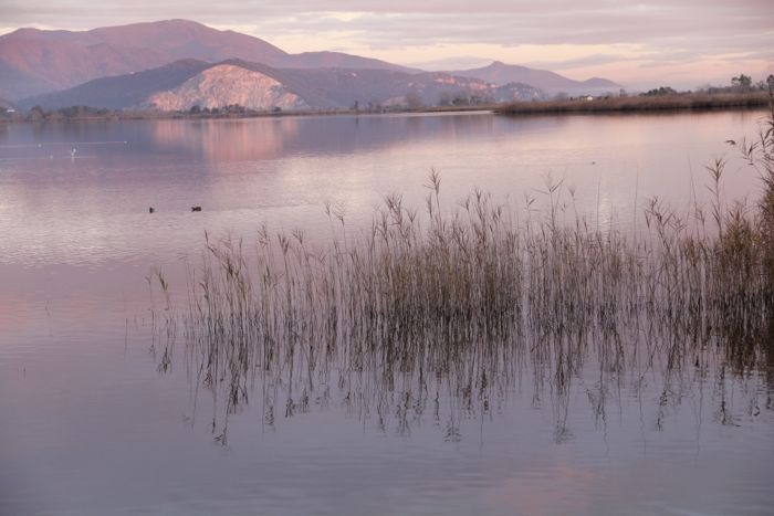 Torre del Lago 1.jpg
