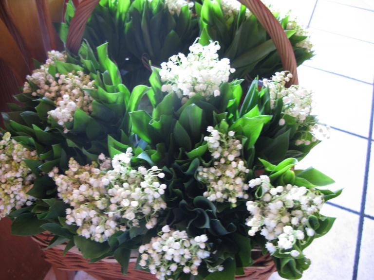 IMG_0166.JPG