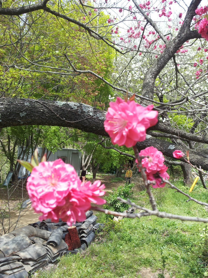20120428_113848_copy.jpg