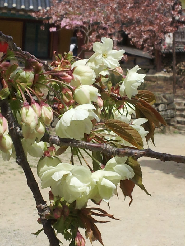 20120428_114943_copy.jpg
