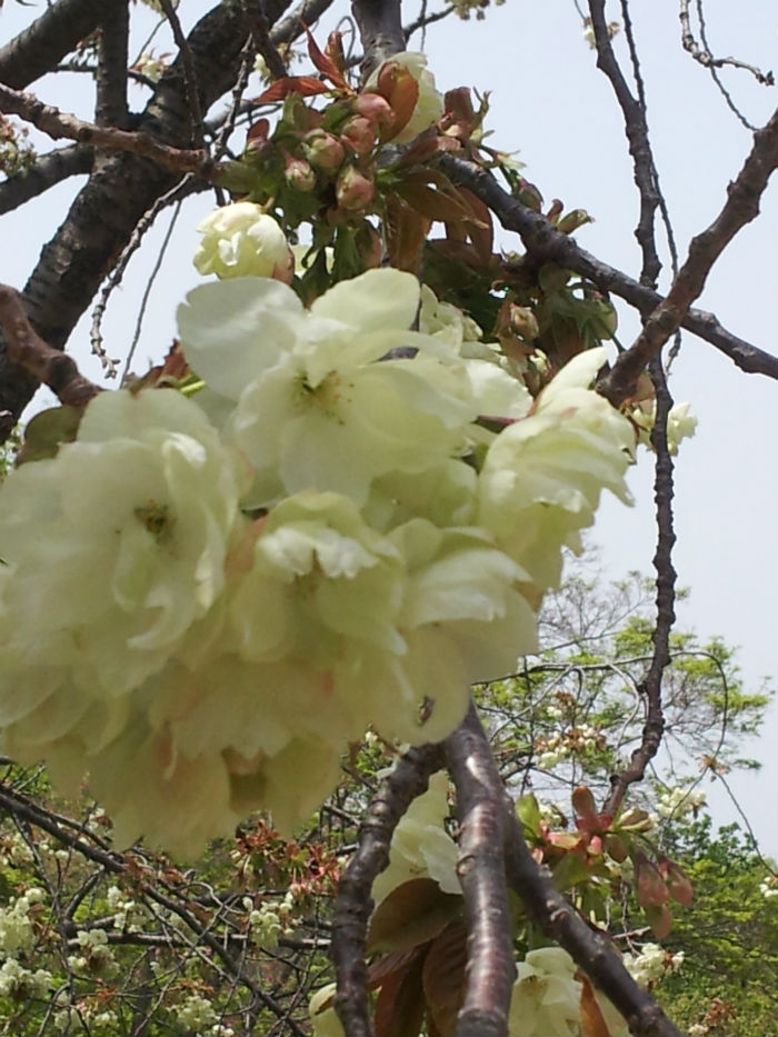 20120428_114953_copy.jpg