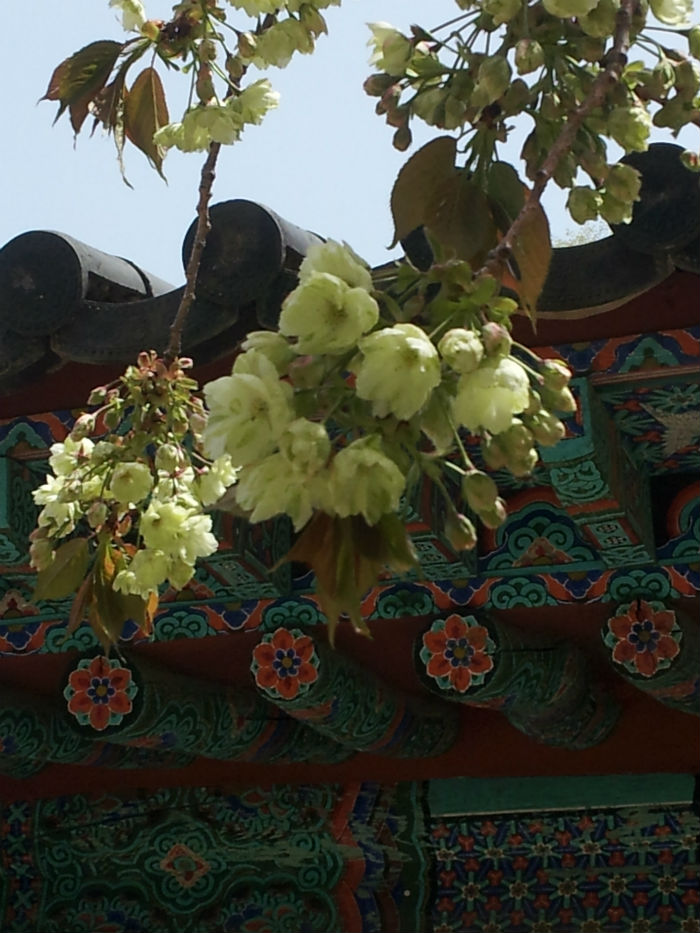 20120428_115023_copy.jpg