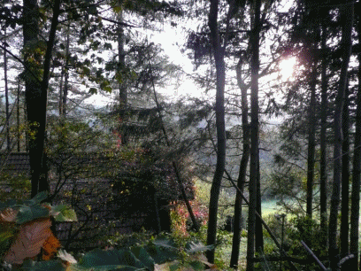 anigif 가을산책.gif