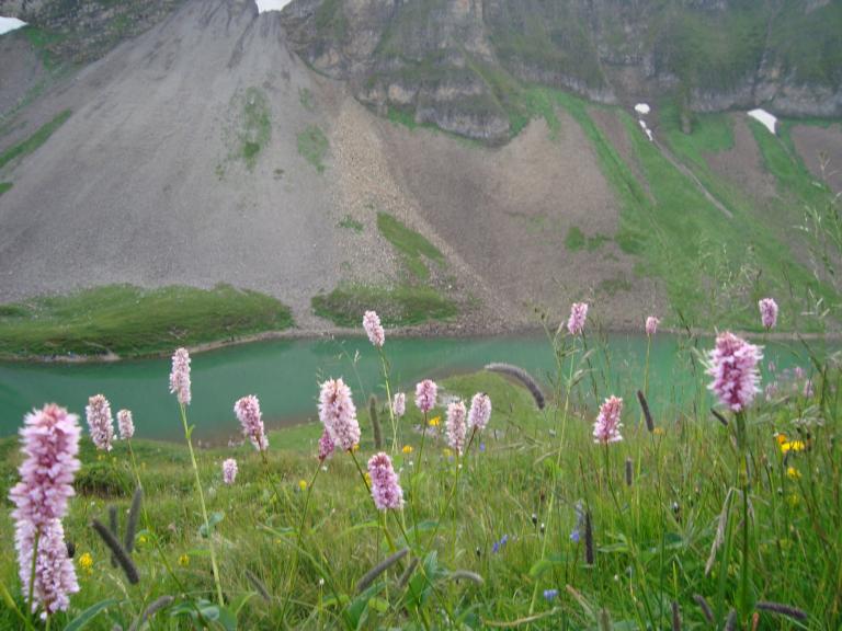 Trubschachen 032_copy (23).jpg