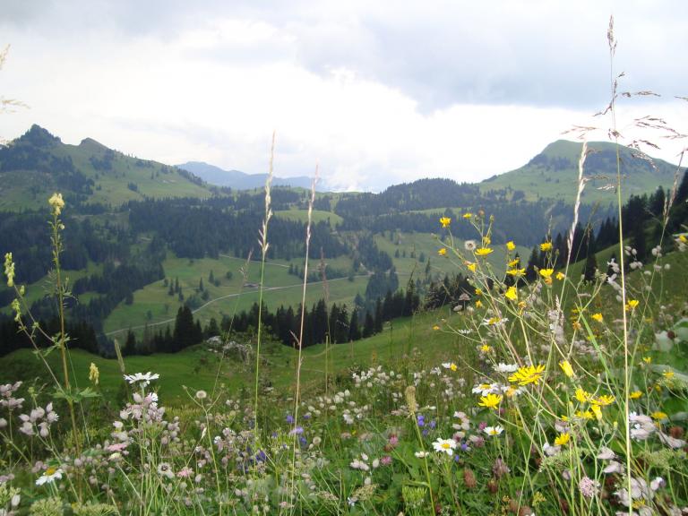 Trubschachen 032_copy (9).jpg