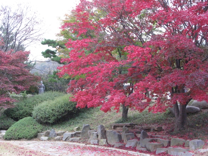 2009.현충원IMG_3059.JPG