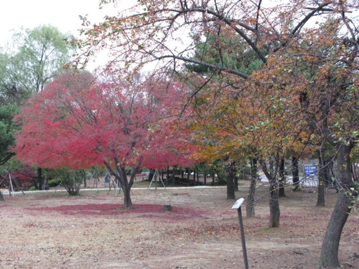 2009.현충원IMG_3062.JPG