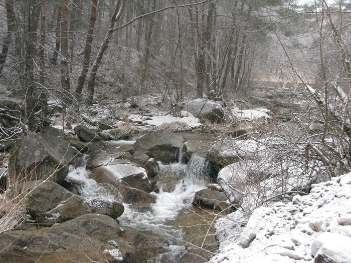 IMG_6938.JPG