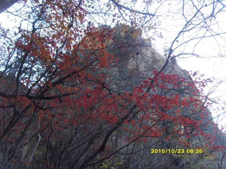2010남설악 055.jpg