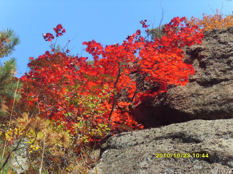 2010남설악 085.jpg