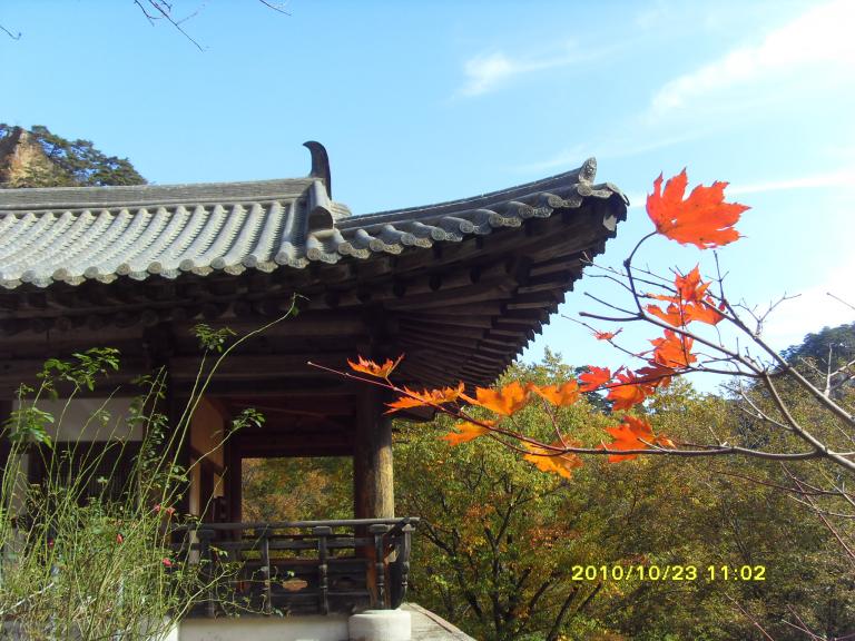 2010남설악 091.jpg