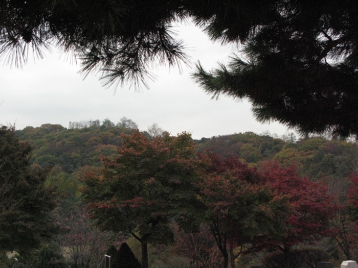 2009.현충원IMG_3089.JPG