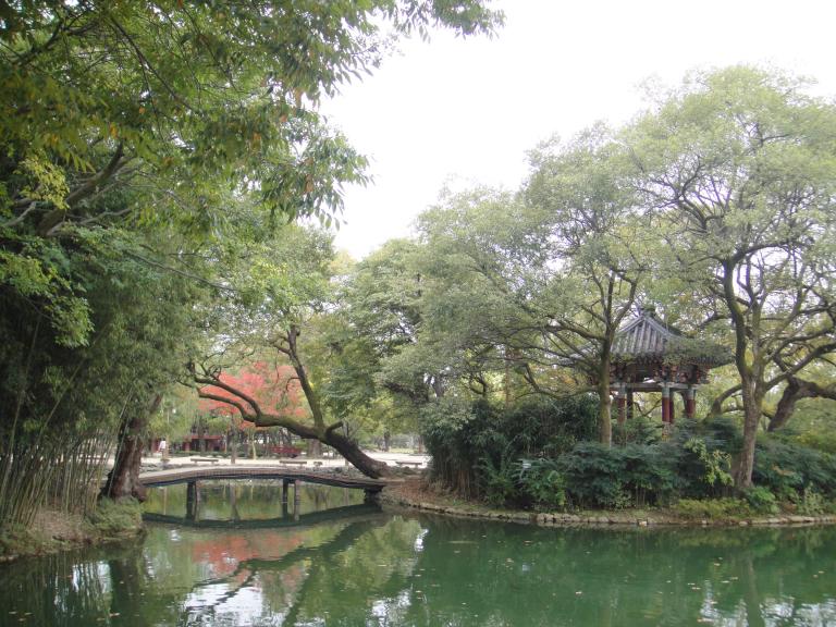 DSC00608.JPG