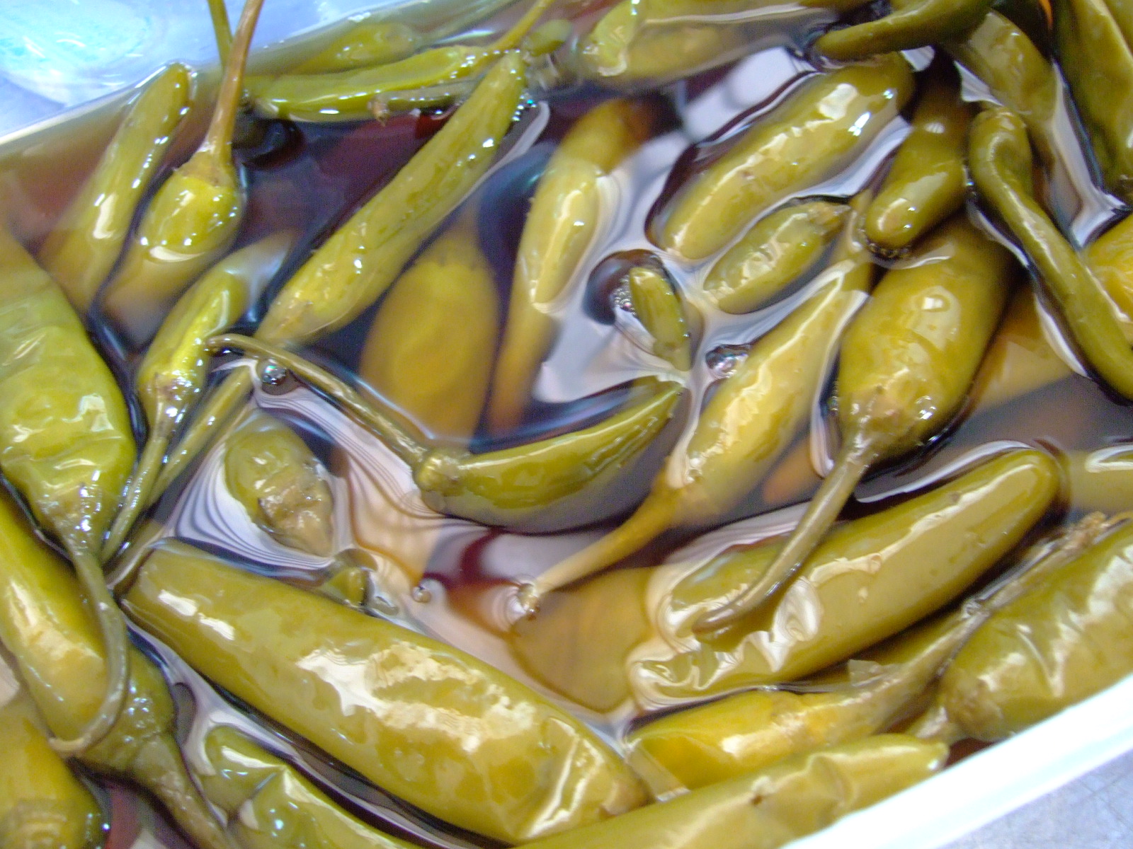 DSCF1231.JPG