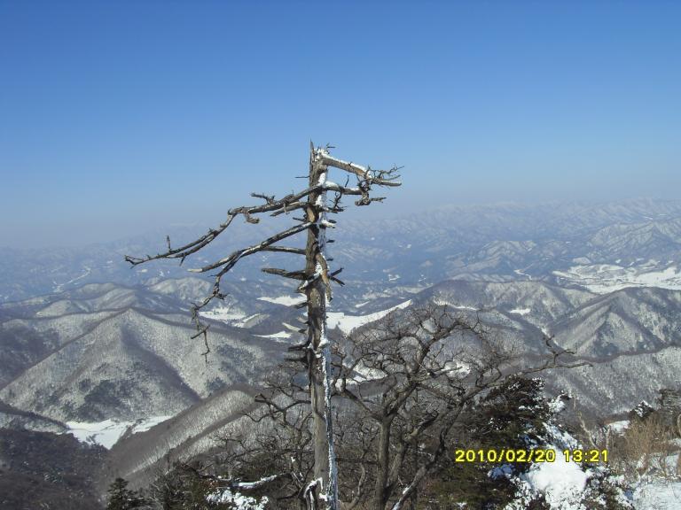 발왕산 064.jpg