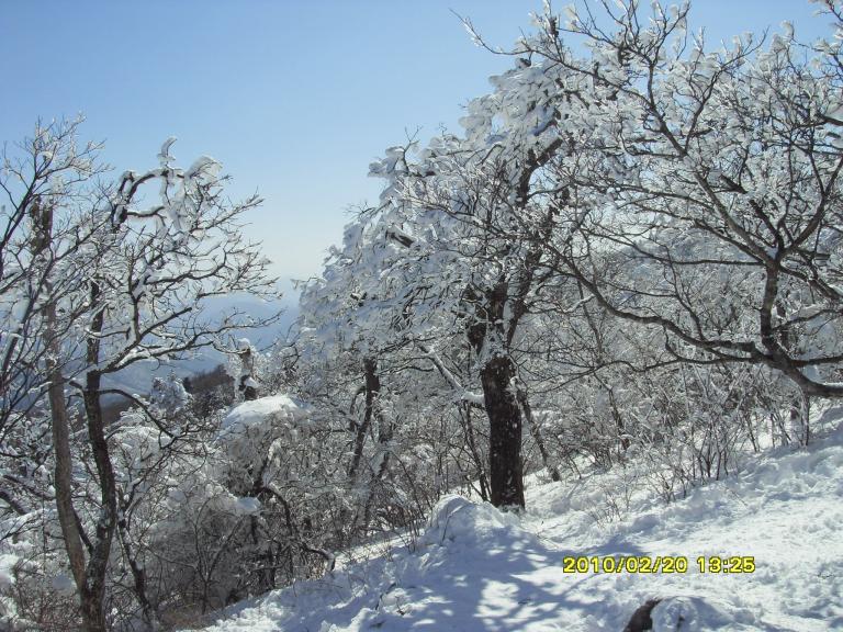 발왕산 072.jpg