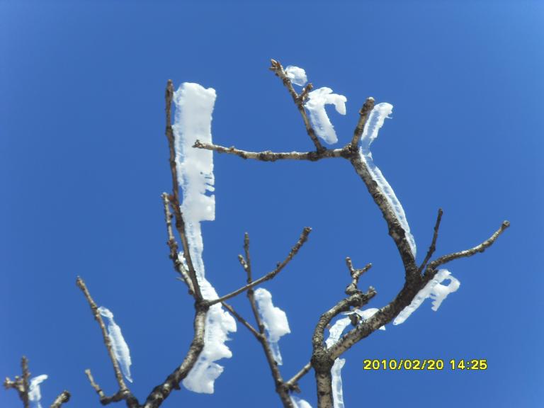 발왕산 126.jpg