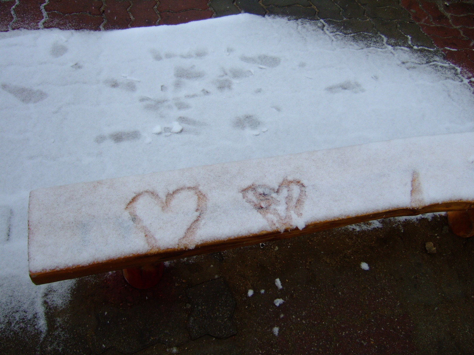 DSCF1268.JPG