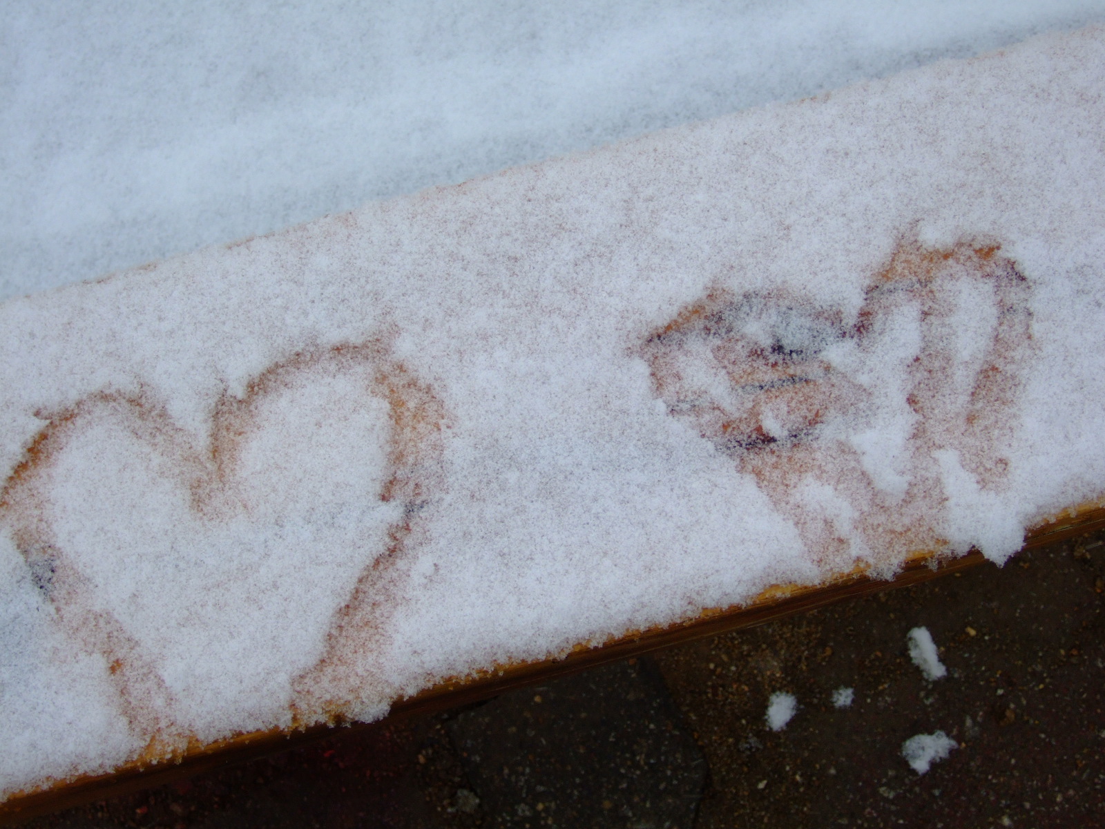DSCF1269.JPG