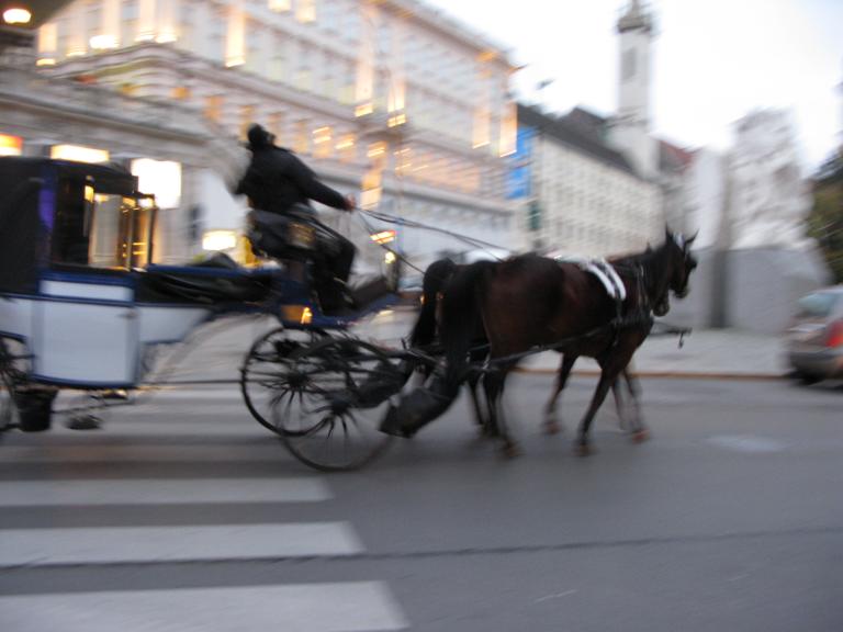 20090918leon-nia 006.jpg