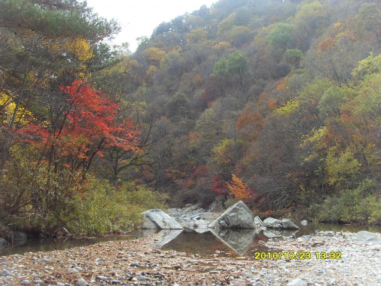 2010남설악 102.jpg