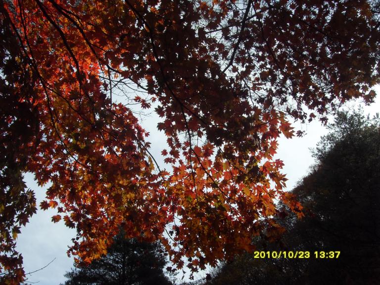 2010남설악 103.jpg